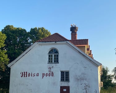 Cigognes dans un nid sur une vieille maison - Estonie