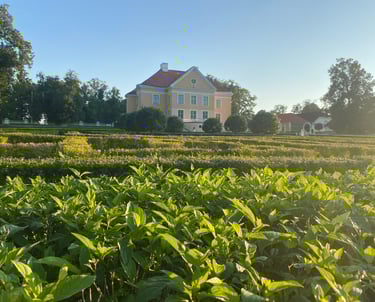 Palmse Mois (chateau) - Estonie