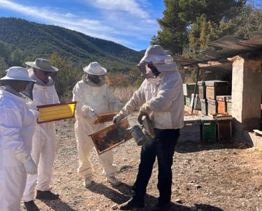 dagtour bijen imker bullas 