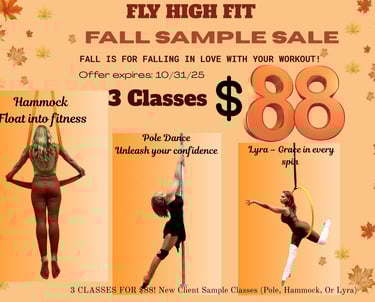 Aerial Arts Long Island Pole Hammock Lyra dance
