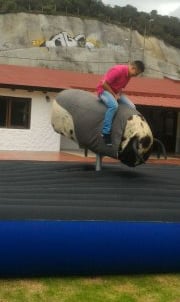 ALQUILER DE TORO MECANICO. -MECHANICAL BULL RENTAL