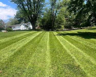 lawn-stripes-by-lawn-mower.jpg