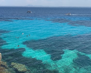 bue marino favignana
