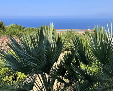 corner pool sea view