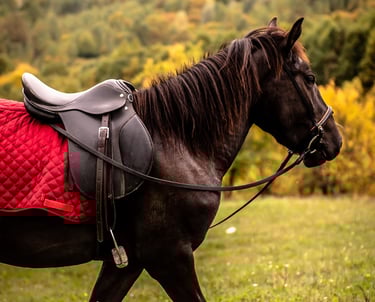 cal in natura, echitatie