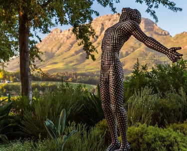 Delaire Graff vineyard in Stellenbosch