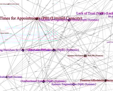 network of healthcare barriers and enablers