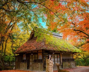 Géobiologie, nettoyage d'un lieu avec neutralisation, équilibrage et protection 