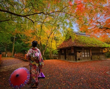 développer votre créativité et embellissez votre intérieur et votre vie, améliorer l'image de soi