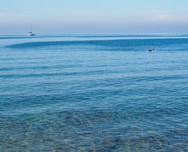 photographe Sausset les pins