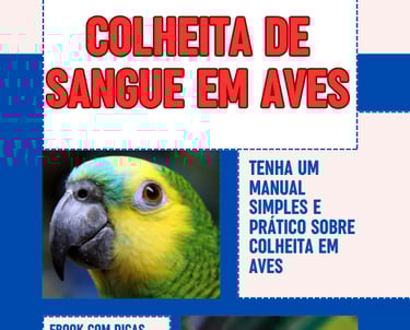 Aprenda o básico da coleta em aves