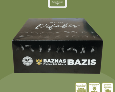 kemasan nasi box duplek