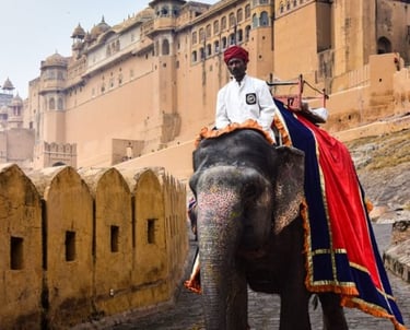 jaipur sightseeing tour