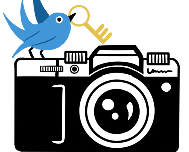 nest and key photography llc logo