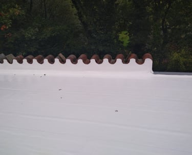witte dak coating