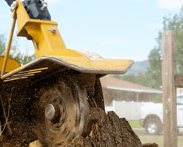 Stump Grinding