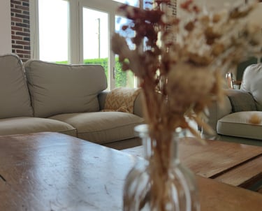 Architecture intérieure, design, salon, maison, campagne, famille, doux, cocoon