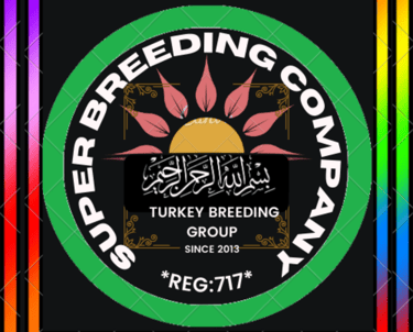 a colorful picture of a turkey bird feedering a turkey