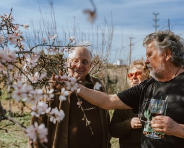 Si celebras tu fiesta en invierno - primavera, verás el cerezo en flor