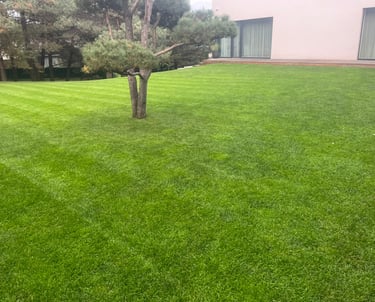 Nupjauta veja ir atlikti kiti vejos priežiūros darbai