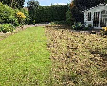 Vejos skarifikavimas – pašalintas veltinis ir samanos, paruošiant veją atsinaujinimui