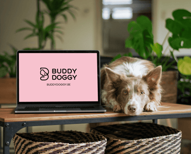 dog walking et pet sitting à bruxelles