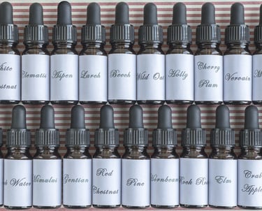 a bunch of bottles showing the names of assens 