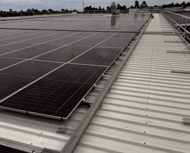 Commercial Roof Solar Bird proofing Linden