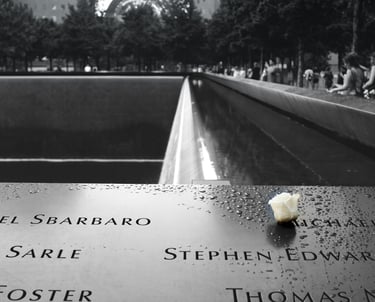Ground zero veduta piccolo fiore bianco lasciato sulla tomba