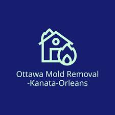 How to Get Rid of Mold - Ottawa Mold Removal -Kanata-Orleans