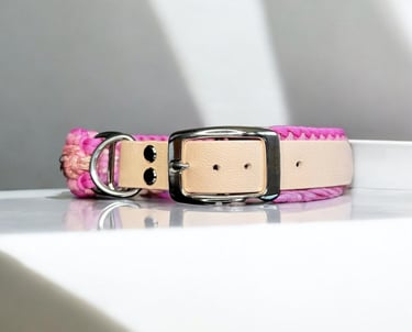 Collar para mascota elaborado con Paracord, ajuste en BioThane® y hebilla de acero inoxidable.