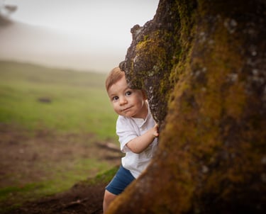 Boy behinde laurisilva in Fanal Forest