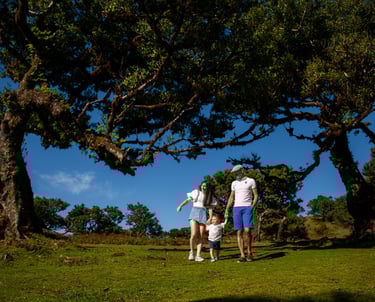 family with toddler son walking hand-in-hand under dramatic ancient trees at Fanal Forest