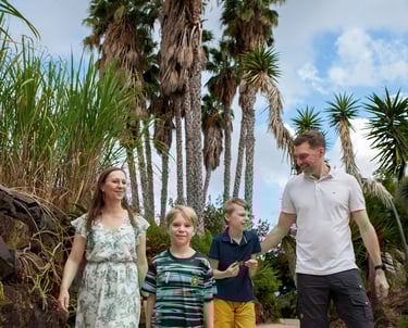 Family walks together along a palm-lined path in a tropical garden, sunny day in Madeira, relaxed lifestyle vibe.