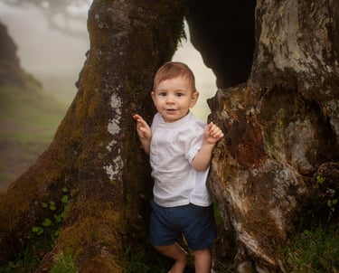 Happy toddler boy standing between ancient moss-covered tree trunk at Fanal Forest Madeira