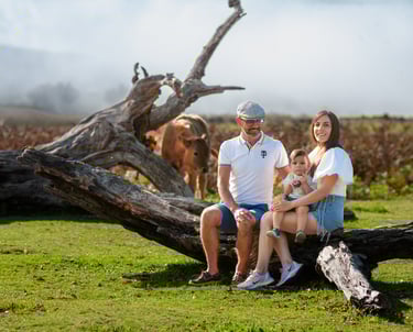 Family sitting together on fallen log in meadow, misty hills and grazing cows visible in background.