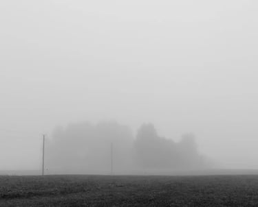 A misty field captured in a black and white photograph
