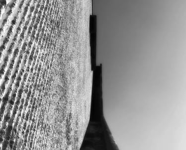 Brick wall captured in black and white