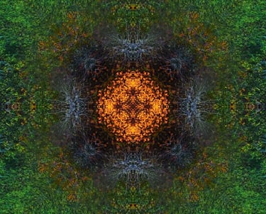 Colorful abstract tree image with swirling green and orange tones, emphasizing artistic expression and nature's beauty