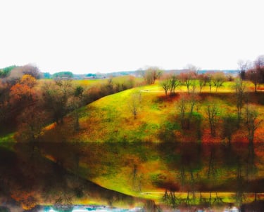 Drone photo of trees mirrored in a serene lake