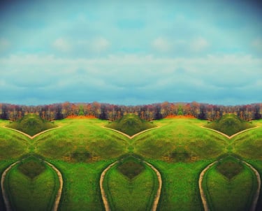 A panoramic view of a field with a majestic tree captured by a drone