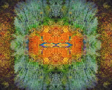 Tree with abstract foliage design