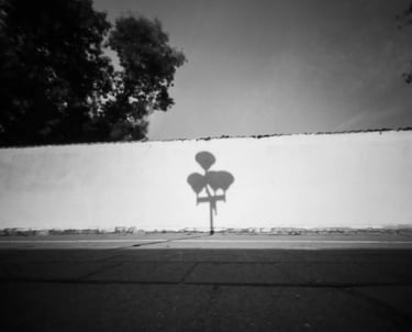 Black and white photo of street lamp silhouette