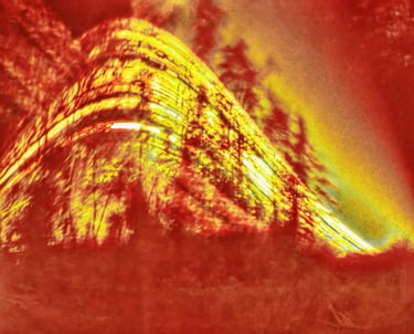 A vibrant wood with red and yellow hues, standing against a backdrop of changing sun paths over six months