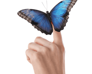 Don't wait for a butterfly to land on your finger. Create your own miracle with FMT—take the leap '