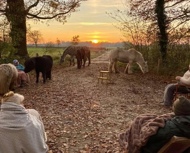 Mediteren met paarden