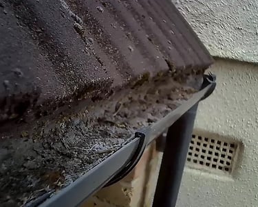 Partially filled gutter with moss and debris as see via the inspection camera