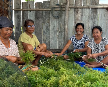 women smiling while they harvesting seaweed