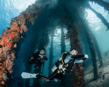 Two scuba divers swim through coral-covered pier pilings in clear blue tropical ocean water.