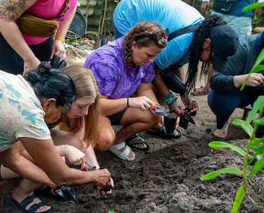 Custom group programs